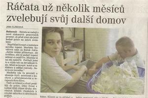 D*R��ek 2010