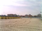 79.jpg